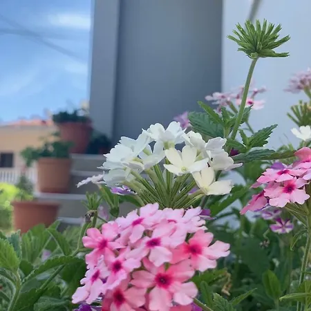 Hotel Joy & Grace Apartments Ksamil Ksamil