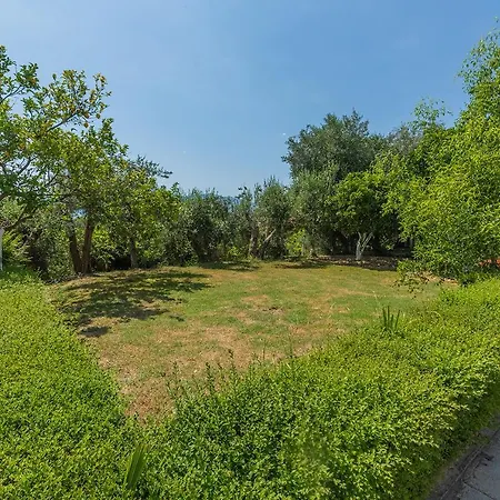 Dini Guest house